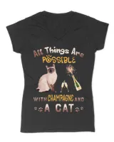 Women's V-Neck T-Shirt