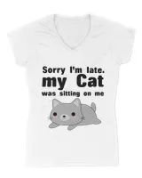 Sorry I'm late Cat QTCAT211122A3