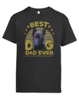 Womens Dogs 365 Best Norwegian Elkhound Dog Dad Ever Gift Men V-Neck T-Shirt