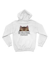 Cat Watching You Peeking Cat Personalized Catssssss