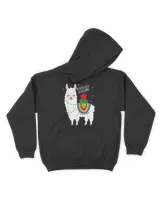 Youth Pullover Hoodie