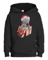 Kids Pullover Hoodie