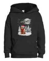 Kids Pullover Hoodie