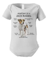 Anatomy Of A Jack Russell