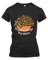 Stigmochelys Pardalis Leopard Tortoise Scientific Name