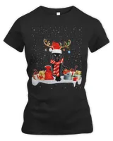 Funny Xmas Lighting Reindeer Santa Hat Panther Christmas