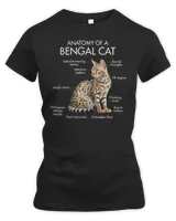 Anatomy Of A Bengal Cat