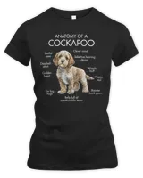 Anatomy Of A Cockapoo