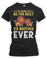 I’m Going to Be the Best Big Brother Ever Lion Brothers