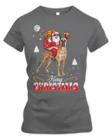 Merry Christmas Santa Riding Great Dane Kids Boys Xmas Pjs 338