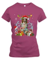 Border Collie Reindeer Christmas Tree Lights Pajama Dog Xmas 186