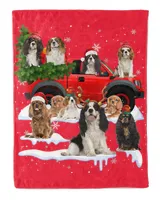 Cavalier King Charles Spaniel Cute Snow Car C