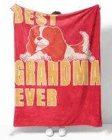 Best Cavalier King Charles Spaniel Grandma Ever Shirt