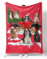 Cavalier King Charles Spaniel Cute Snow Car C