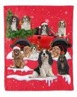 Cavalier King Charles Spaniel Cute Snow Car C