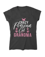 Crazy Persian Cat Grandma