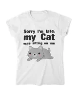 Sorry I'm late Cat QTCAT211122A3