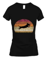 Flying Dachshund Wiener Dog Retro Sunset Doxie Lover 308