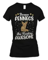 Because Fennecs are freaking awesome Fennec