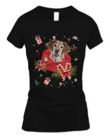 Brittany Dog In Christmas Card Ornament Pajama Xmas445