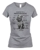 Anatomy Of A French Bulldog