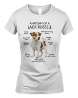 Anatomy Of A Jack Russell