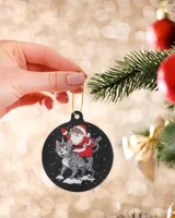 Santa Claus Riding A Cat Christmas Ornament - Prague