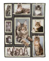 Maine coon cat picture frames set