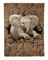 Elephant Dry Soil Crack Hole