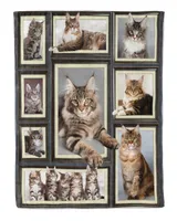 Maine coon cat picture frames set