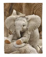 Elephant cute baby