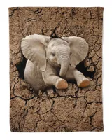 Elephant Dry Soil Crack Hole