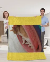 cute cat216
