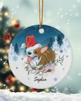 Corgi Ornament, Tricolor Corgi Ornament, Christmas Dogs Ornament1