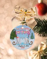 DC Personalized Twins First Christmas Ornament, Elephants Ornament, Gift for Twins, Christmas Ornaments