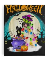 Akita Witch Costumes For Halloween Lights Dog Lover Gift T-Shirt