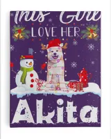 Snow _ Xmas Gifts This Girl Love Her Akita Reindeer Hat T-Shirt