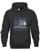 Veteran of the United States US Air Force USAF 264
