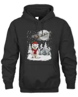 Maltese On Snow Christmas Moon Lighting Santa Hat1