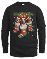 Dog Beagle Christmas In Sock Dog Santa Hat