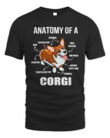 Dog anatomy of a corgifunny dog314 paws