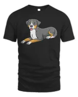 Men's Standard T-Shirt