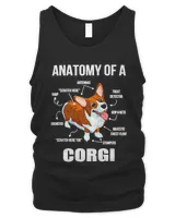 Dog anatomy of a corgifunny dog314 paws