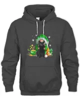 Black Cat Gnome Patrick Day Shamrock Kitty Kitten