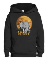 Youth Pullover Hoodie