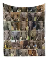 Cozy Plush Fleece Blanket (50x60in)