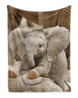 Cozy Plush Fleece Blanket (30x40in)