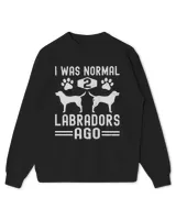 Kids Standard Sweatshirt