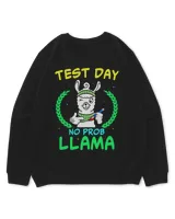 Test Day No ProbLlama Teacher Student Exam Day Funny