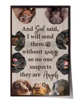 Dachshunds God Send Without
